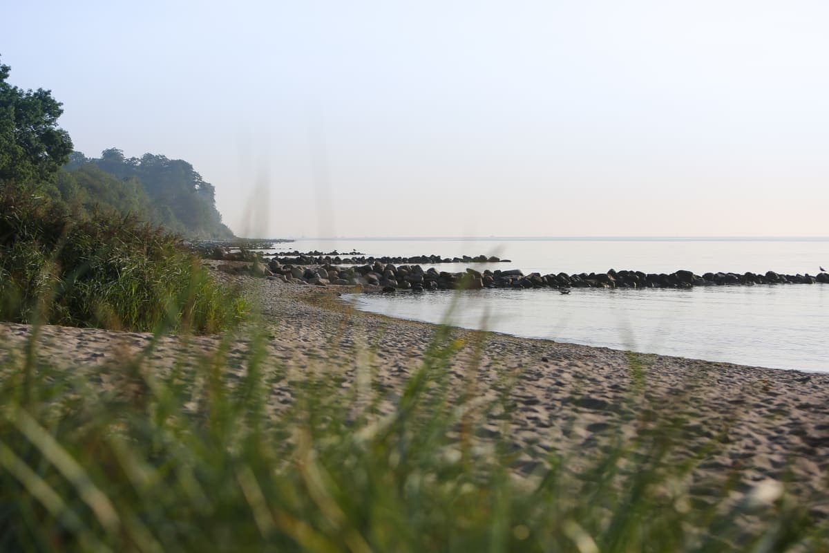 Strand 5