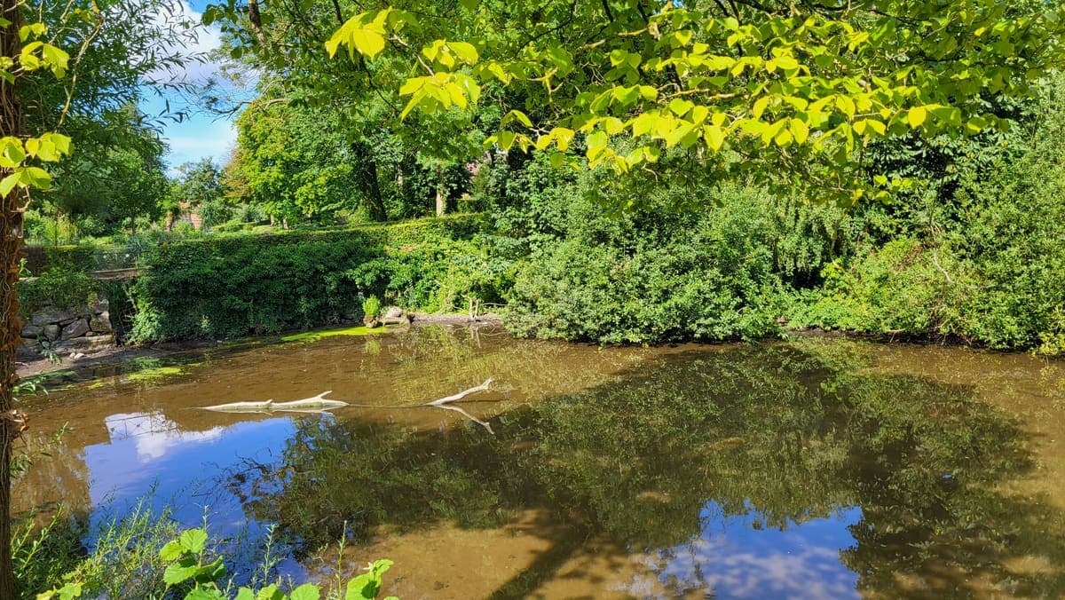 Umgebung 24