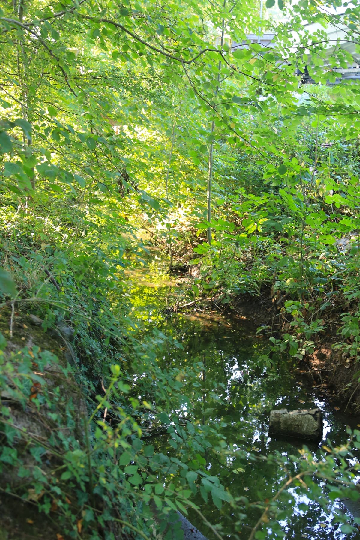 Umgebung 31