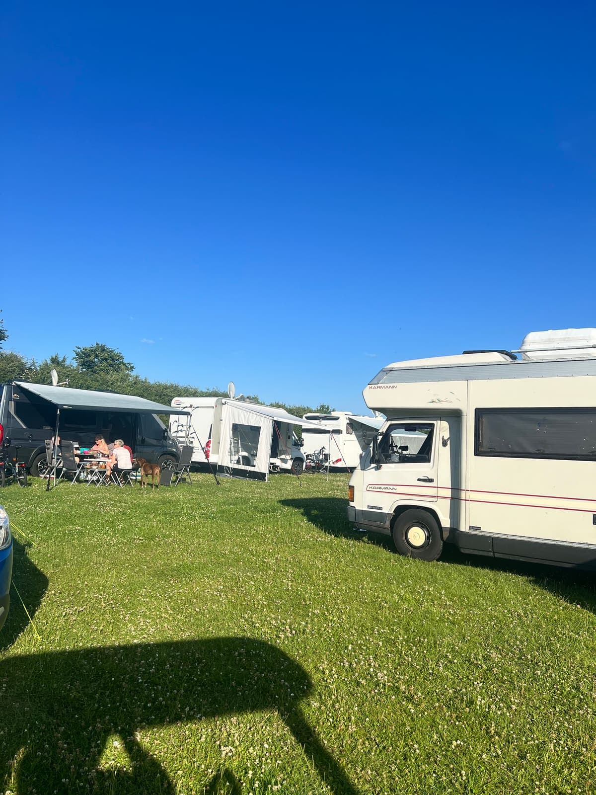 Wiesencamping 4