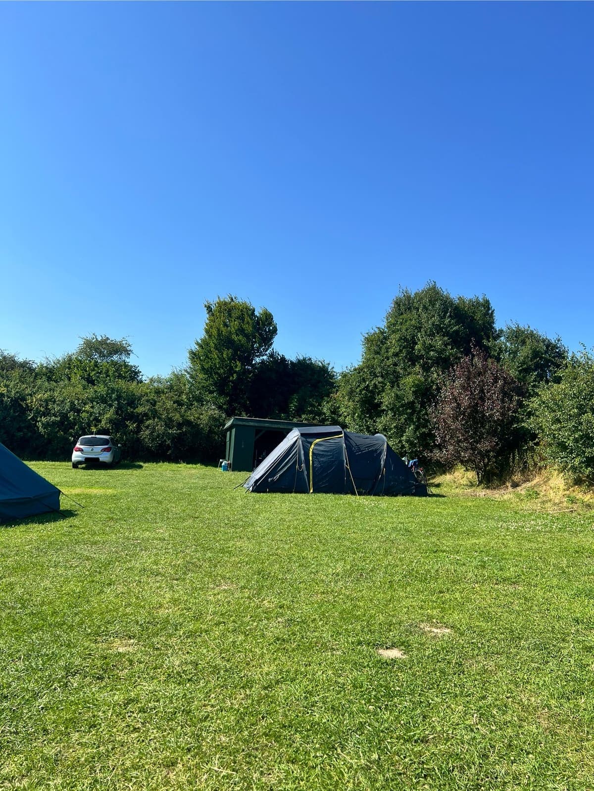 Wiesencamping 17