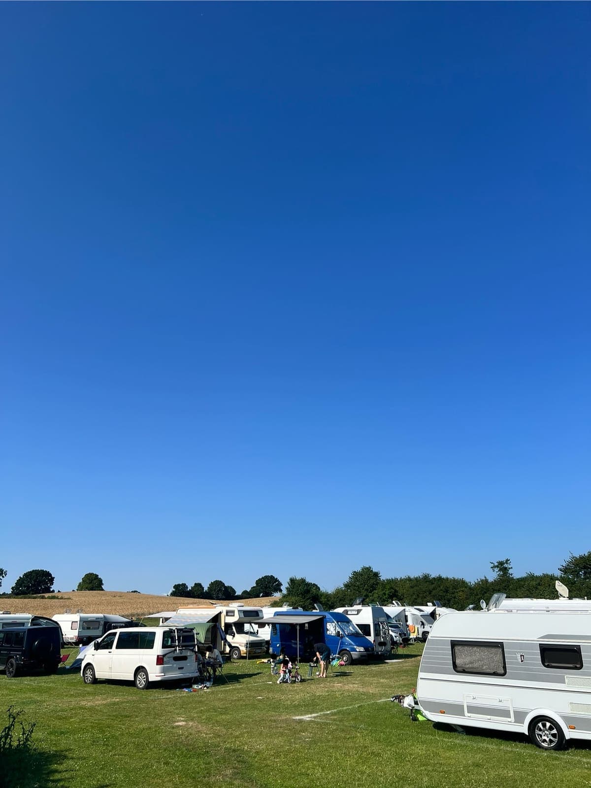 Wiesencamping 20