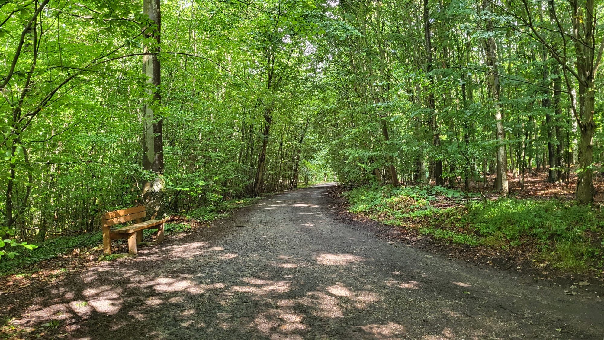 Ostseewanderweg.